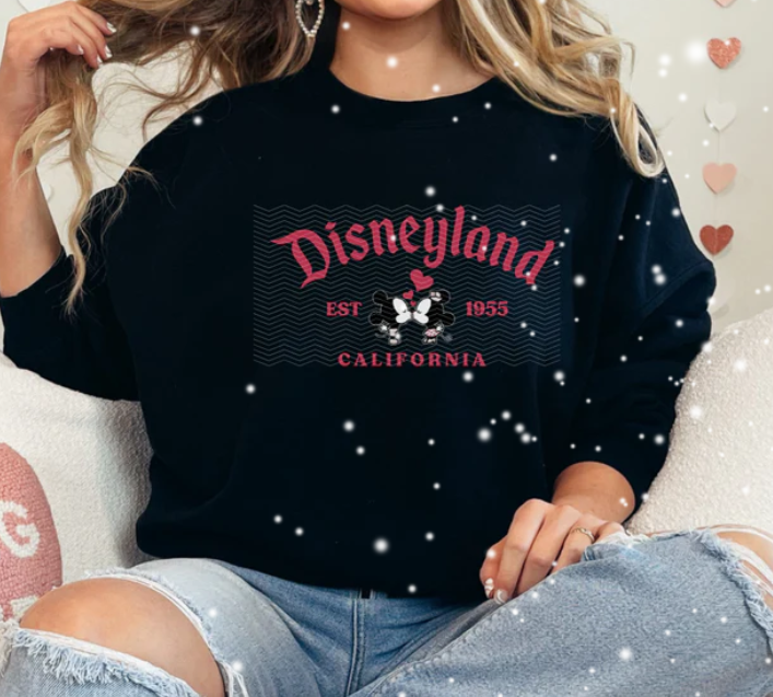 Disnylnd Mini and Miky VDay